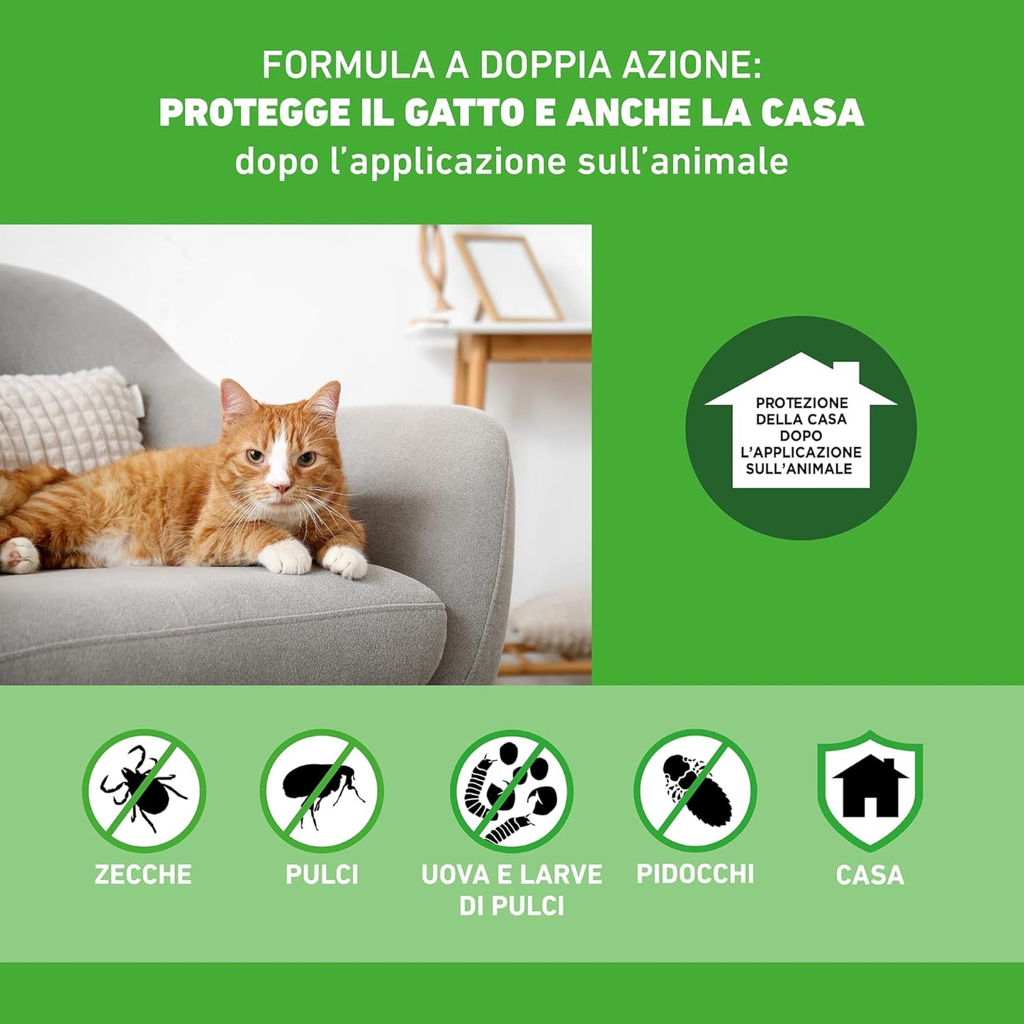 FRONTLINE COMBO KIT GATTINO 1 PIPETTA