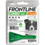 Kit antiparassitario Frontline Combo per cuccioli, 1 pipetta spot-on