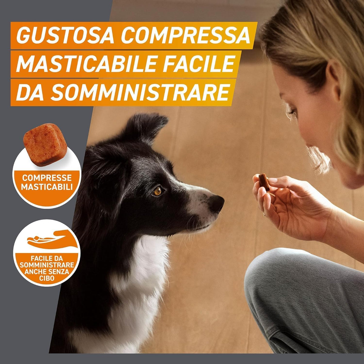 FRONTPRO CANE 10-25 KG 68 MG 3 CPR