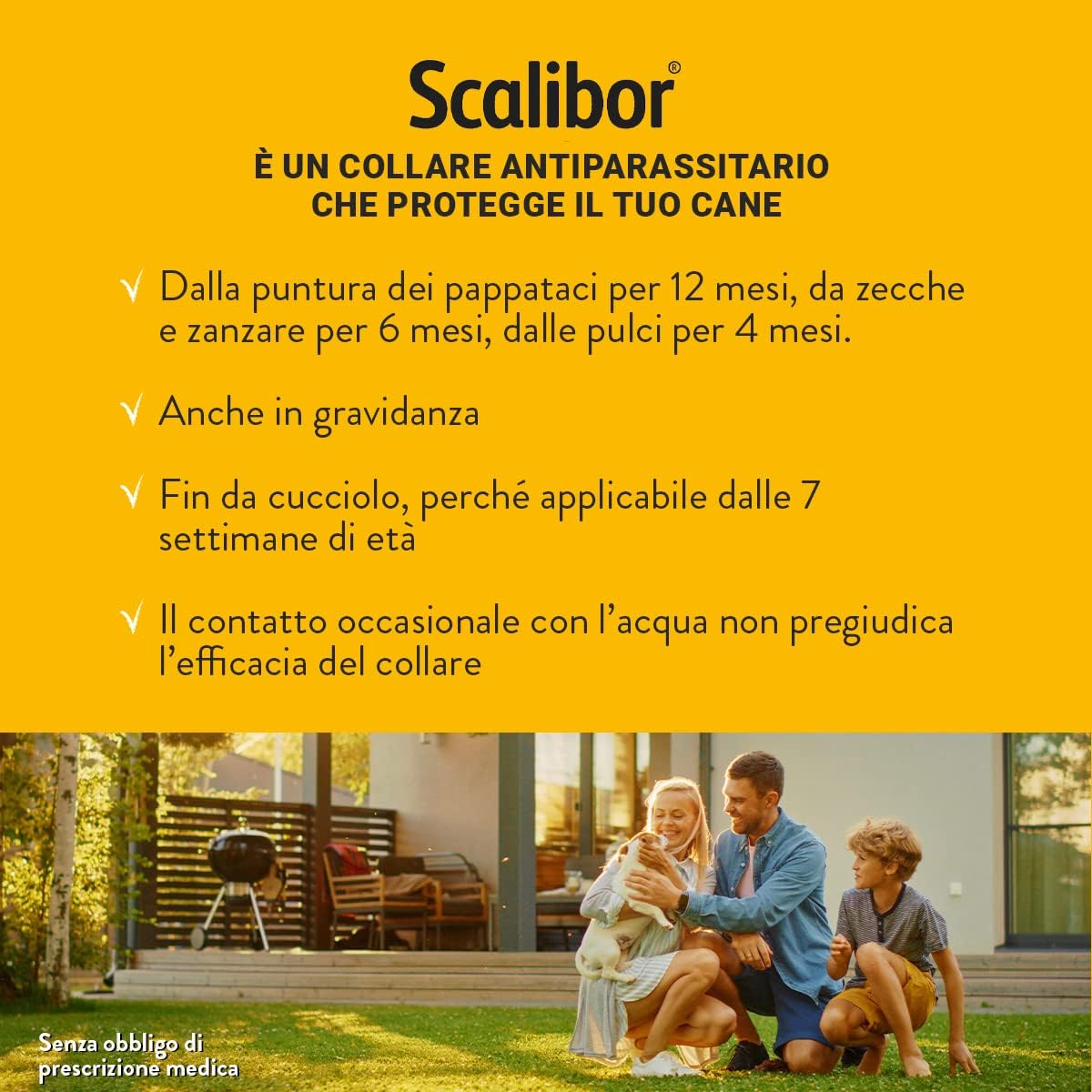 SCALIBOR PROTECTOR BAND 48 CM