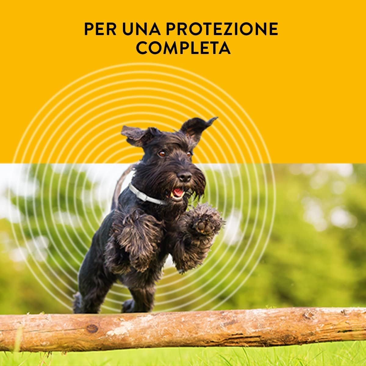 SCALIBOR PROTECTOR BAND 48 CM