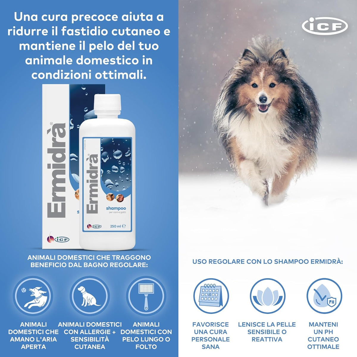ERMIDRA’ SHAMPOO 250 ML