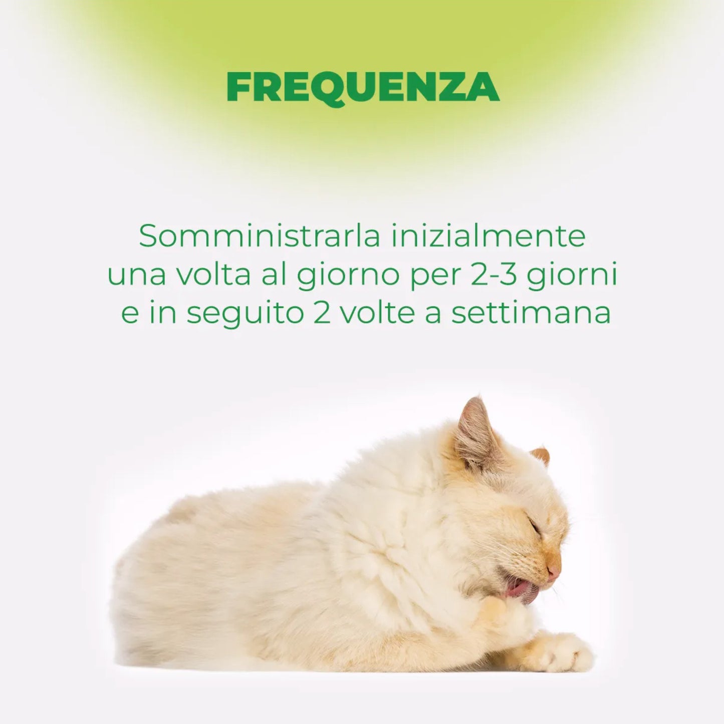REMOVER 20 GR