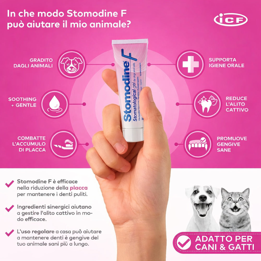 STOMODINE F 30 ML