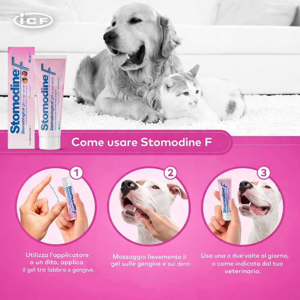 STOMODINE F 30 ML