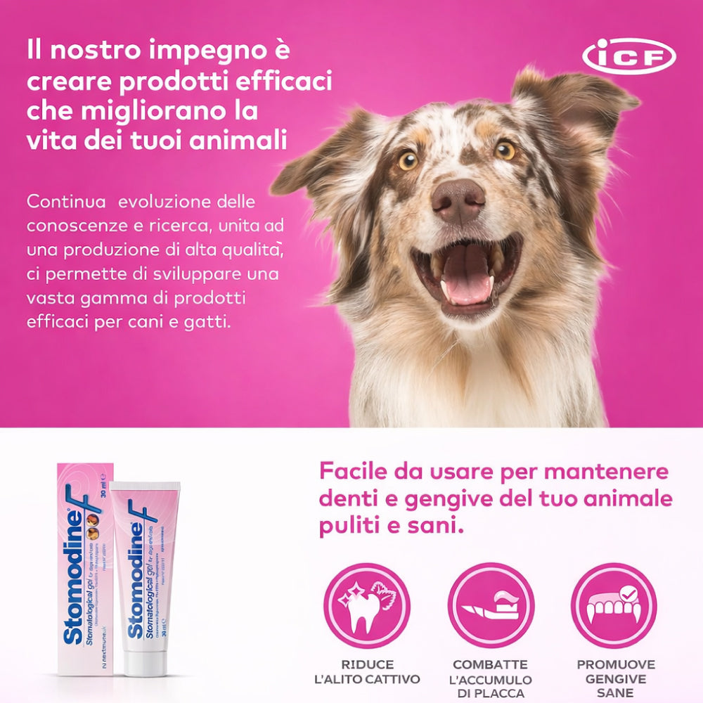 STOMODINE F 30 ML