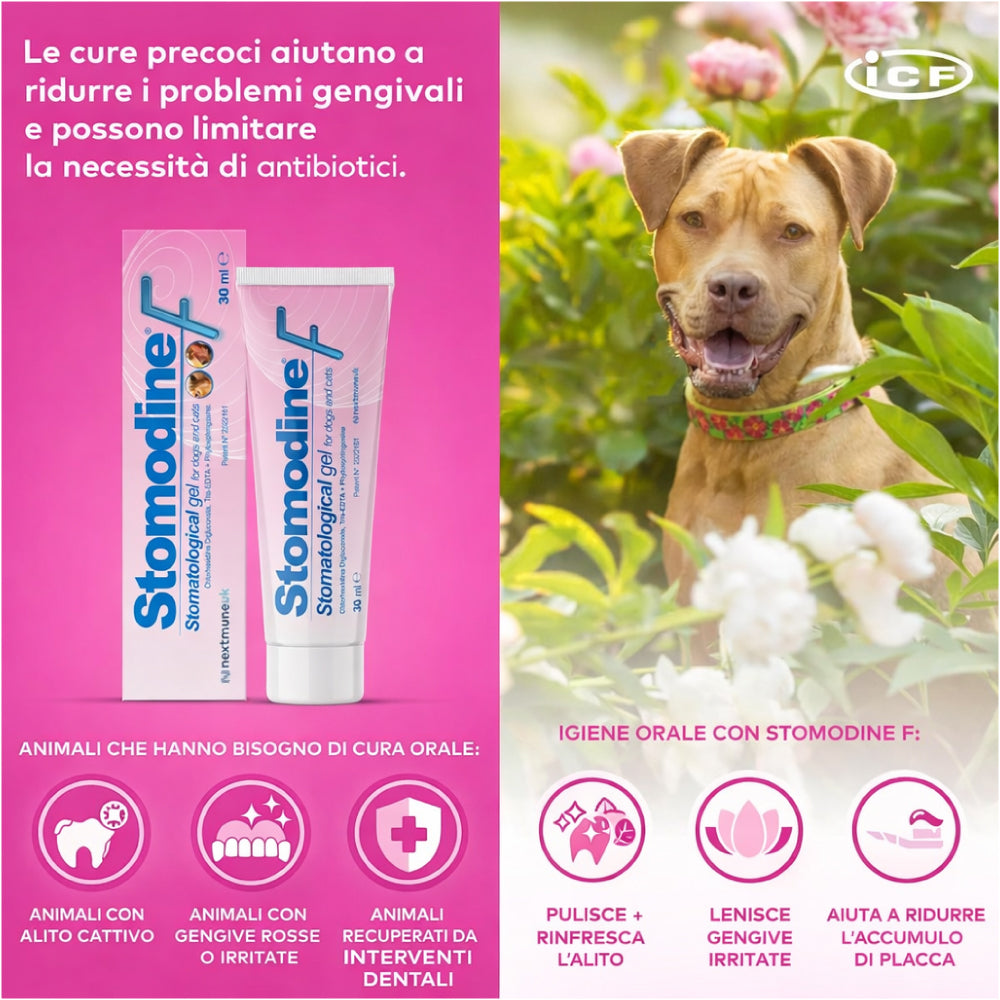 STOMODINE F 30 ML