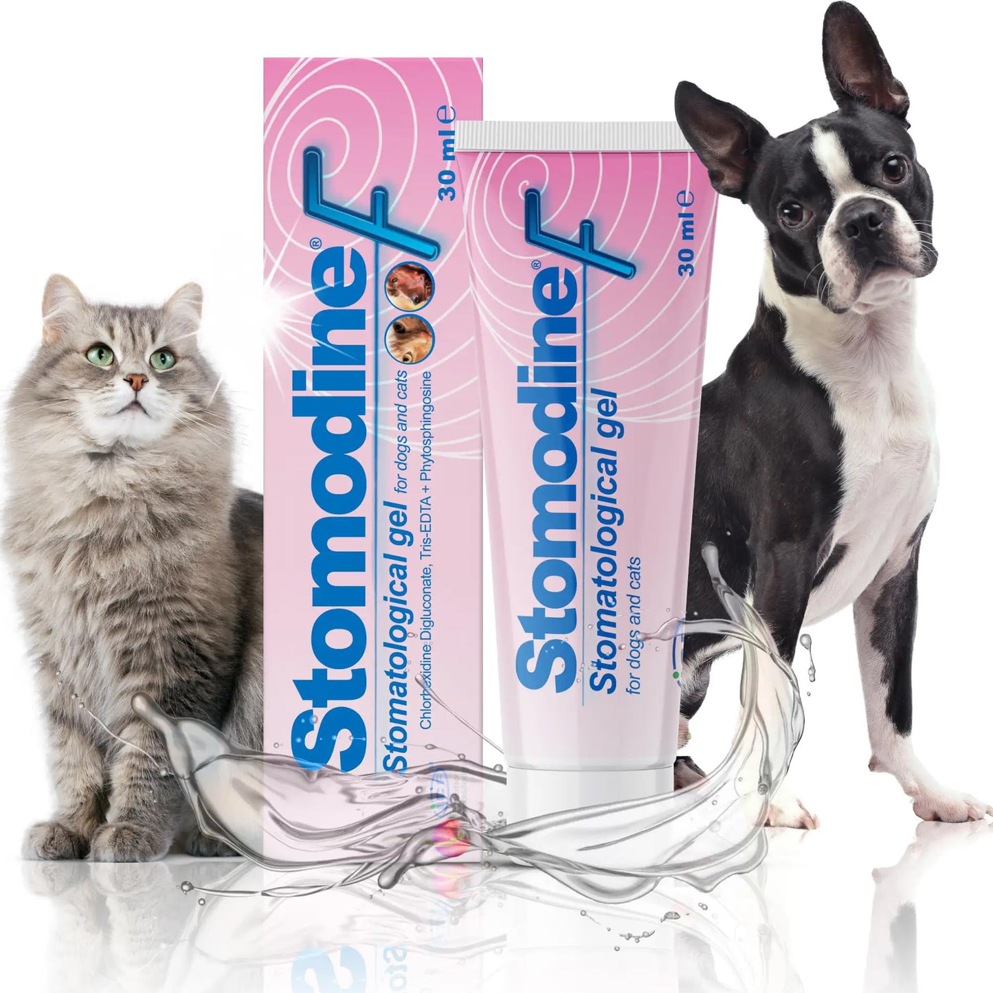 Gel stomatologico Stomodine F 30 ml per cani e gatti con erogatore