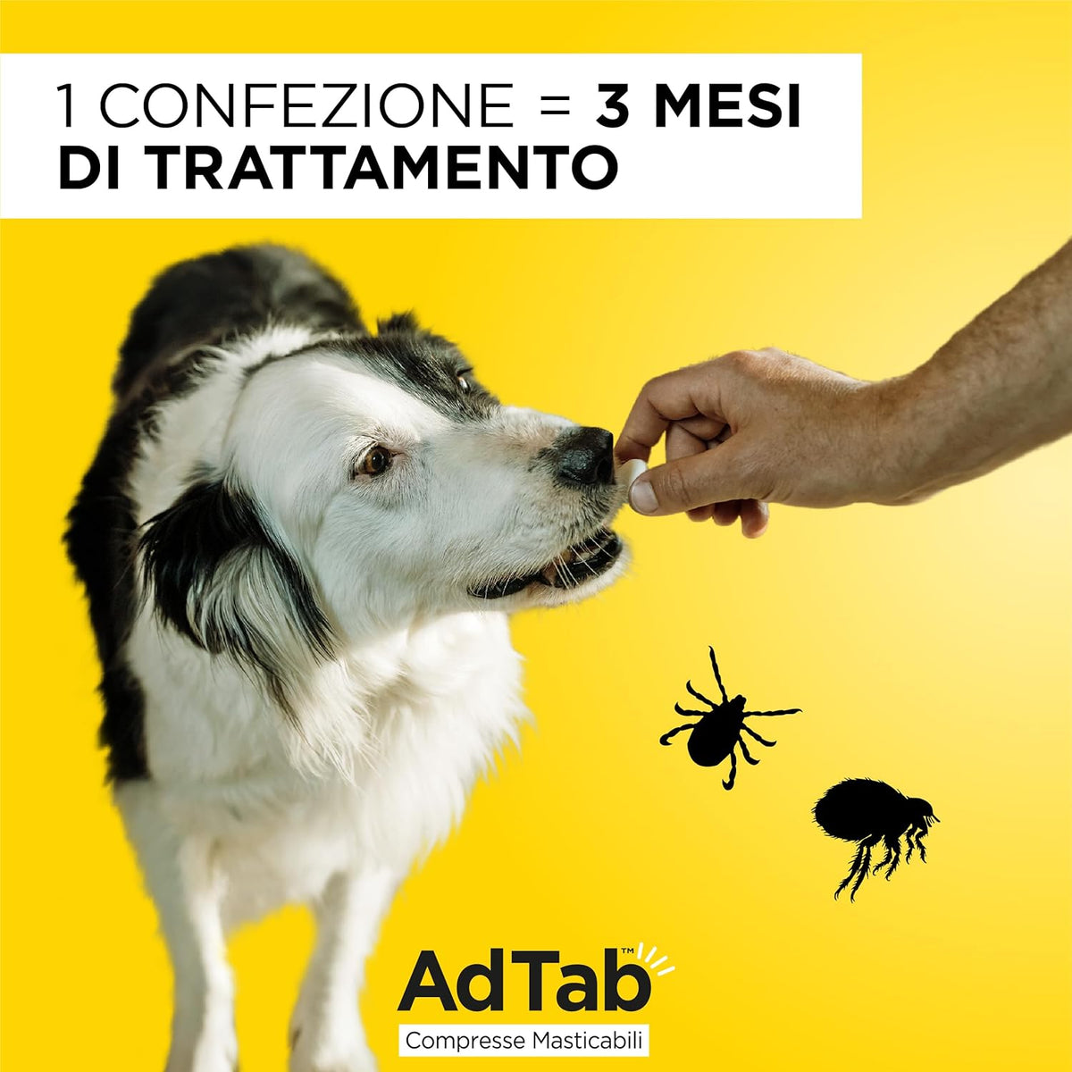 ADTAB CANE 11-22 KG 450 MG VERDE 3 COMPRESSE