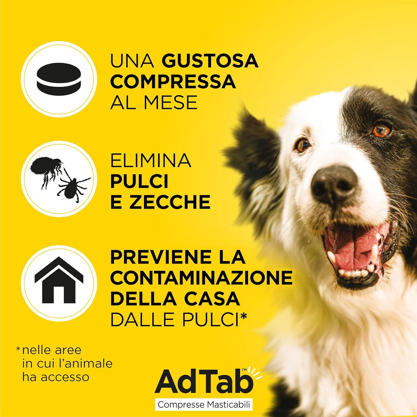 ADTAB CANE 22-45 KG 900 MG BLU 3 COMPRESSE