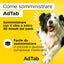 ADTAB CANE 22-45 KG 900 MG BLU 3 COMPRESSE