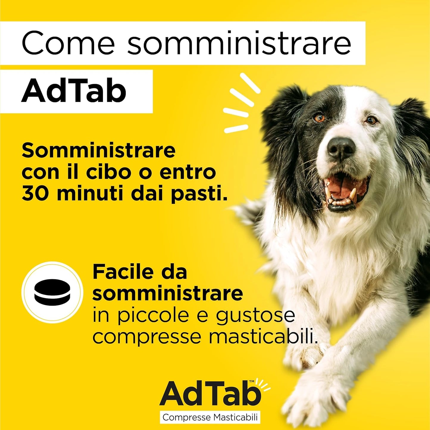 ADTAB CANE 22-45 KG 900 MG BLU 3 COMPRESSE