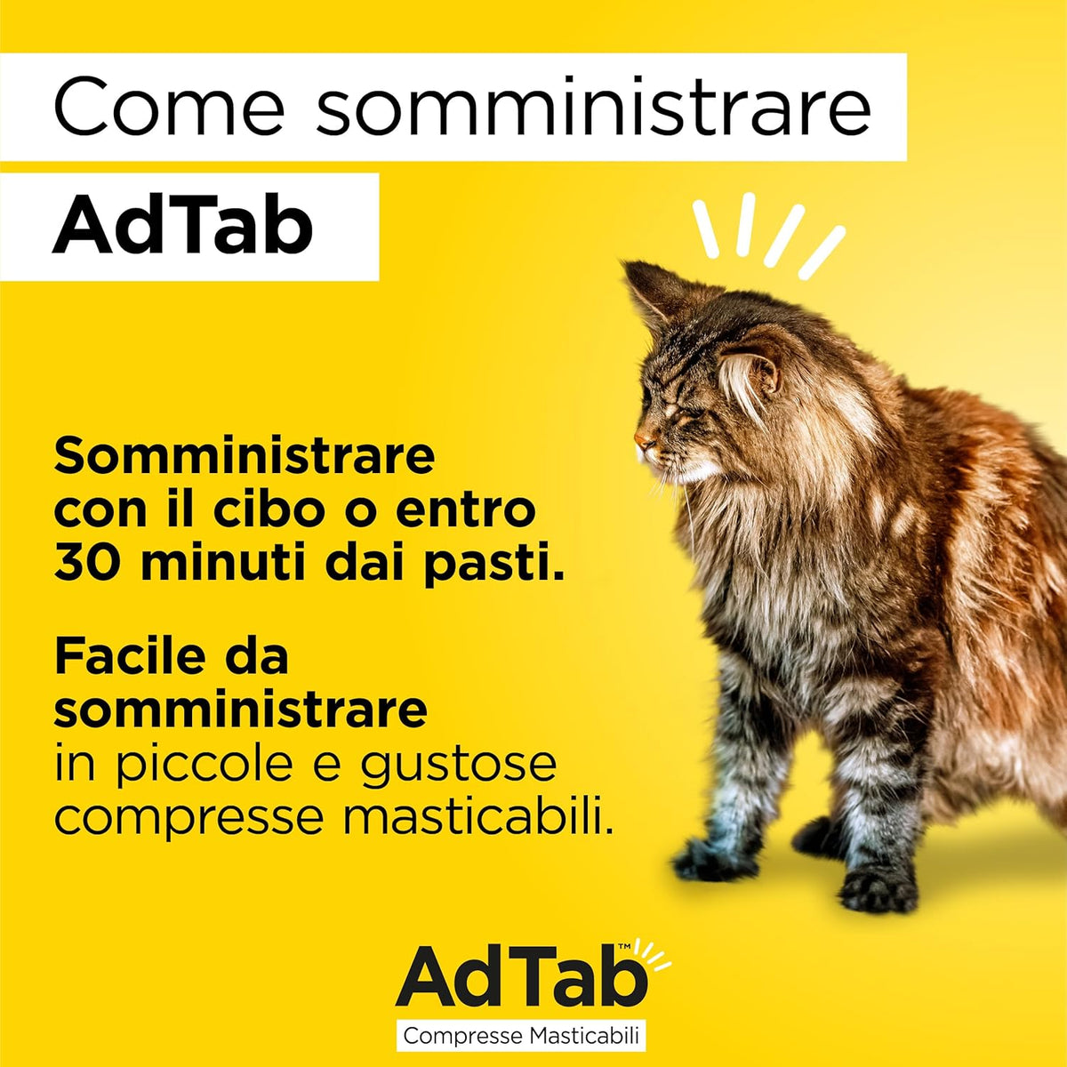 ADTAB GATTO 2-8 KG 48 MG AZZURRO 3 COMPRESSE