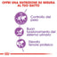 ROYAL CANIN Sterilised 37 Per Gatti Adulti Sterilizzati Da 1 a 7 anni Controllo del peso Supporto del sistema urinario 2 kg