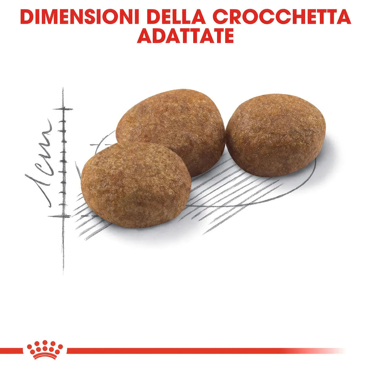 ROYAL CANIN Sterilised 37 Per Gatti Adulti Sterilizzati Da 1 a 7 anni Controllo del peso Supporto del sistema urinario 2 kg