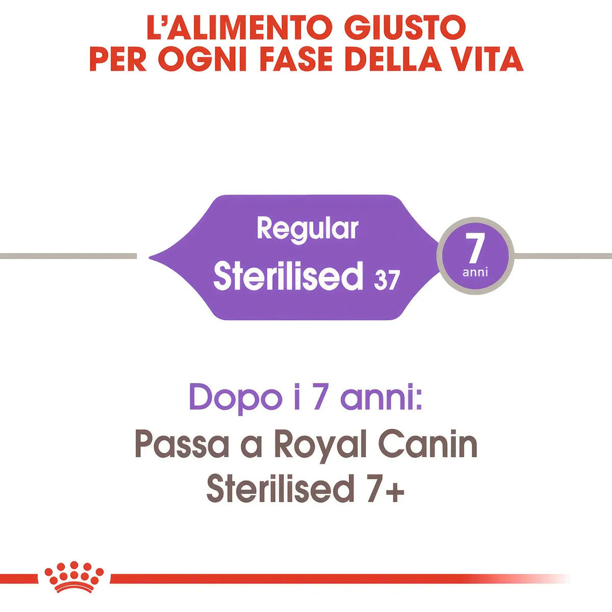 ROYAL CANIN Sterilised 37 Per Gatti Adulti Sterilizzati Da 1 a 7 anni Controllo del peso Supporto del sistema urinario 2 kg