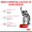 ROYAL CAT KITTEN STERILIZED 2 KG