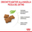 ROYAL CAT KITTEN STERILIZED 2 KG