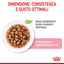 ROYAL CAT KITTEN STERILIZED BUSTINA 85 GR