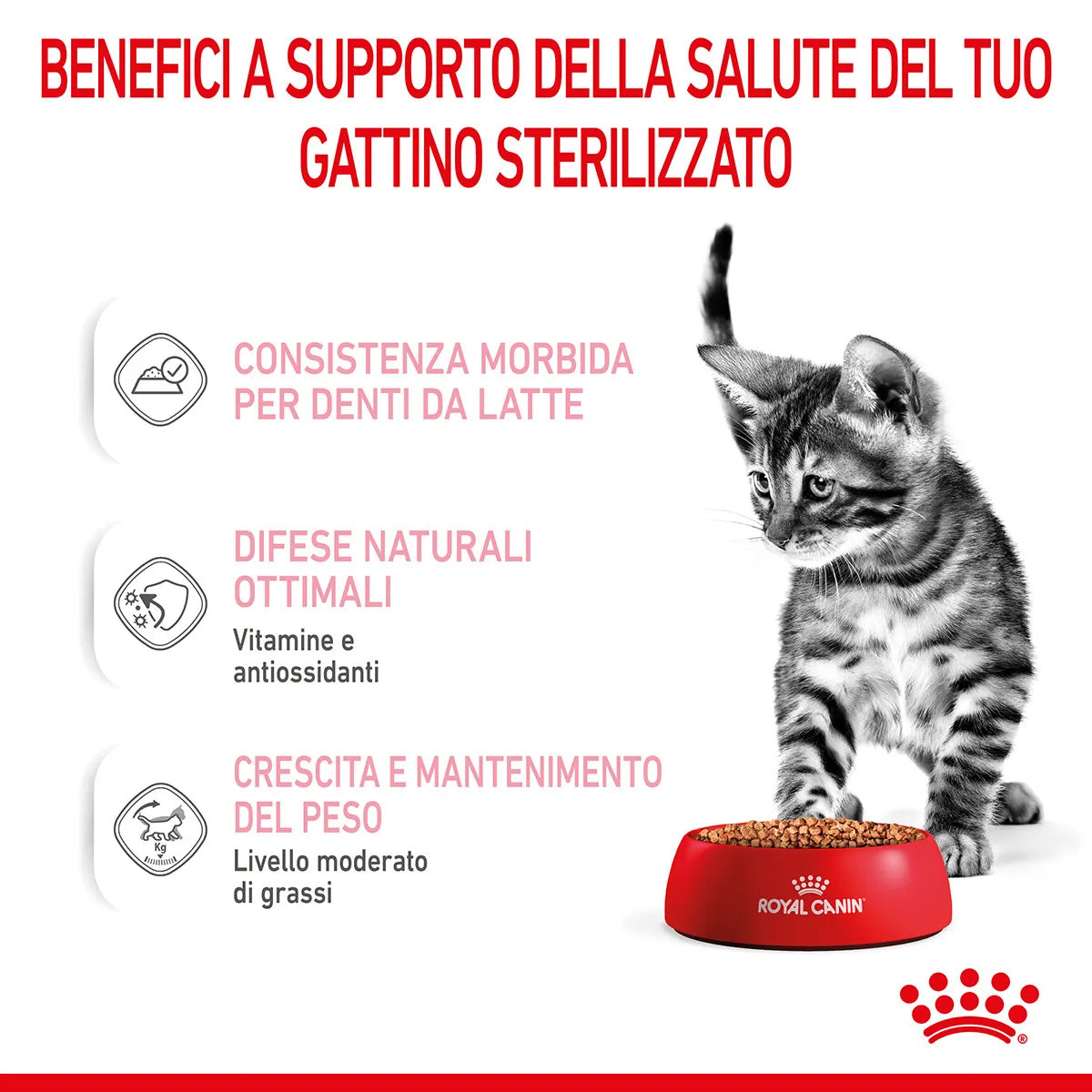 ROYAL CAT KITTEN STERILIZED BUSTINA 85 GR