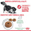 ROYAL CAT DIGESTIVE CARE 2 KG