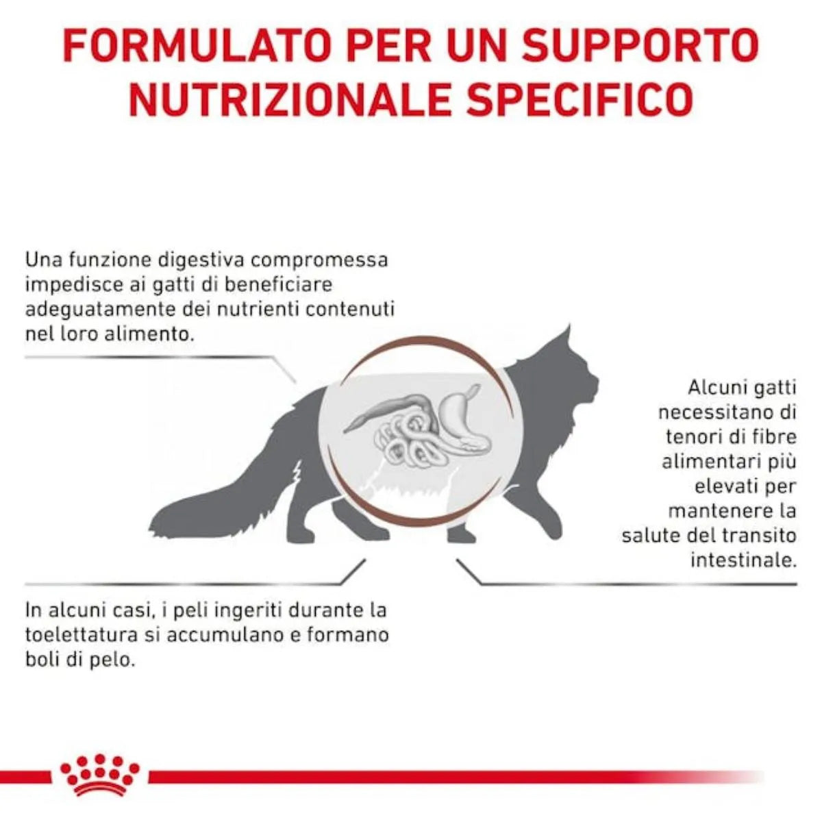 ROYAL CAT GASTROINTESTINAL HAIRBALL 2 KG