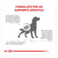 ROYAL DOG RENAL 2 KG