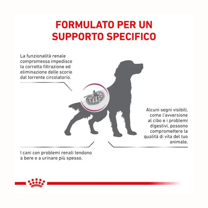 ROYAL DOG RENAL 2 KG