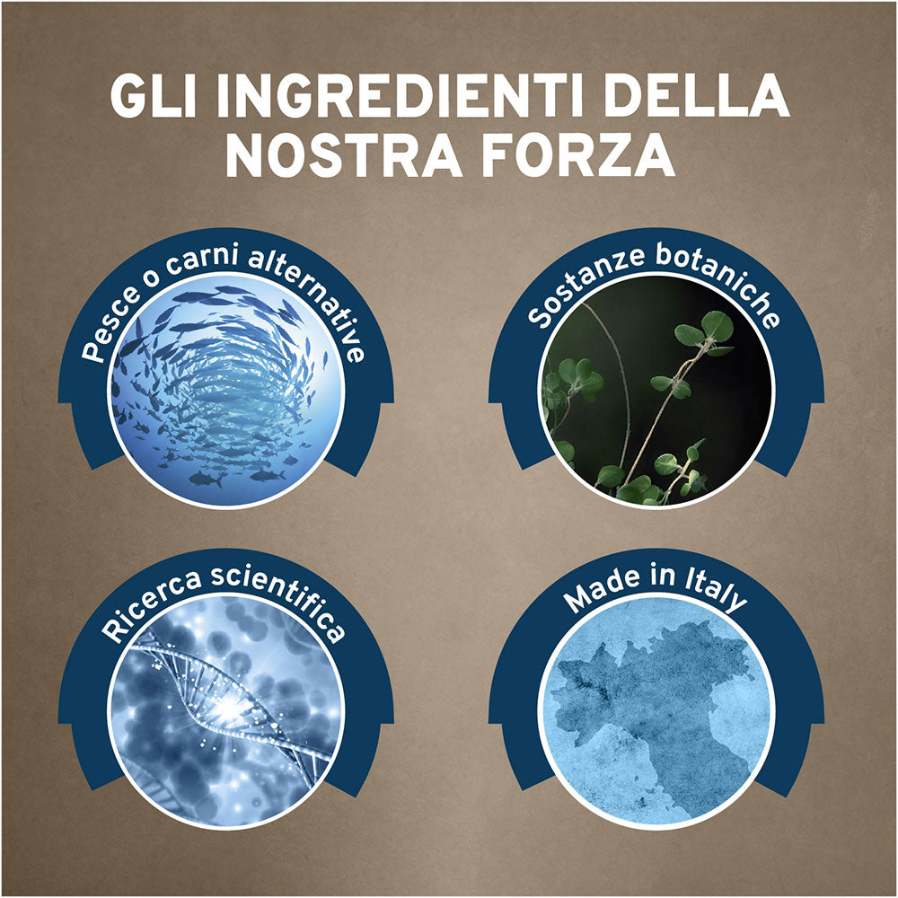 FORZA 10 ACTIVE INTESTINAL COLON LATTINA 390 GR