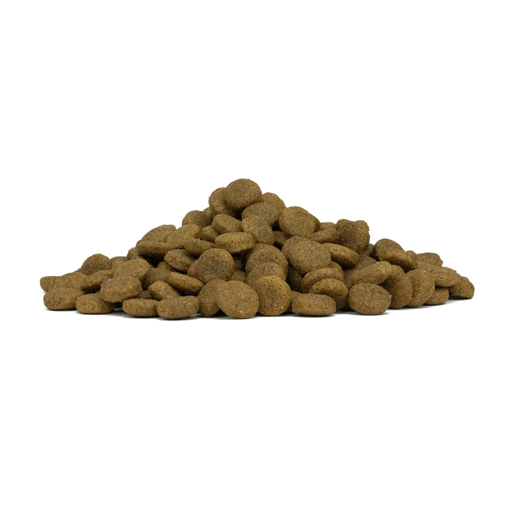 FORZA 10 CERVO E PATATE ADULT MINI 2 KG