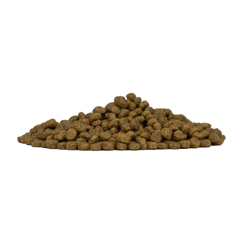 FORZA 10 DIET AGNELLO E RISO MINI TOY 1,5 KG