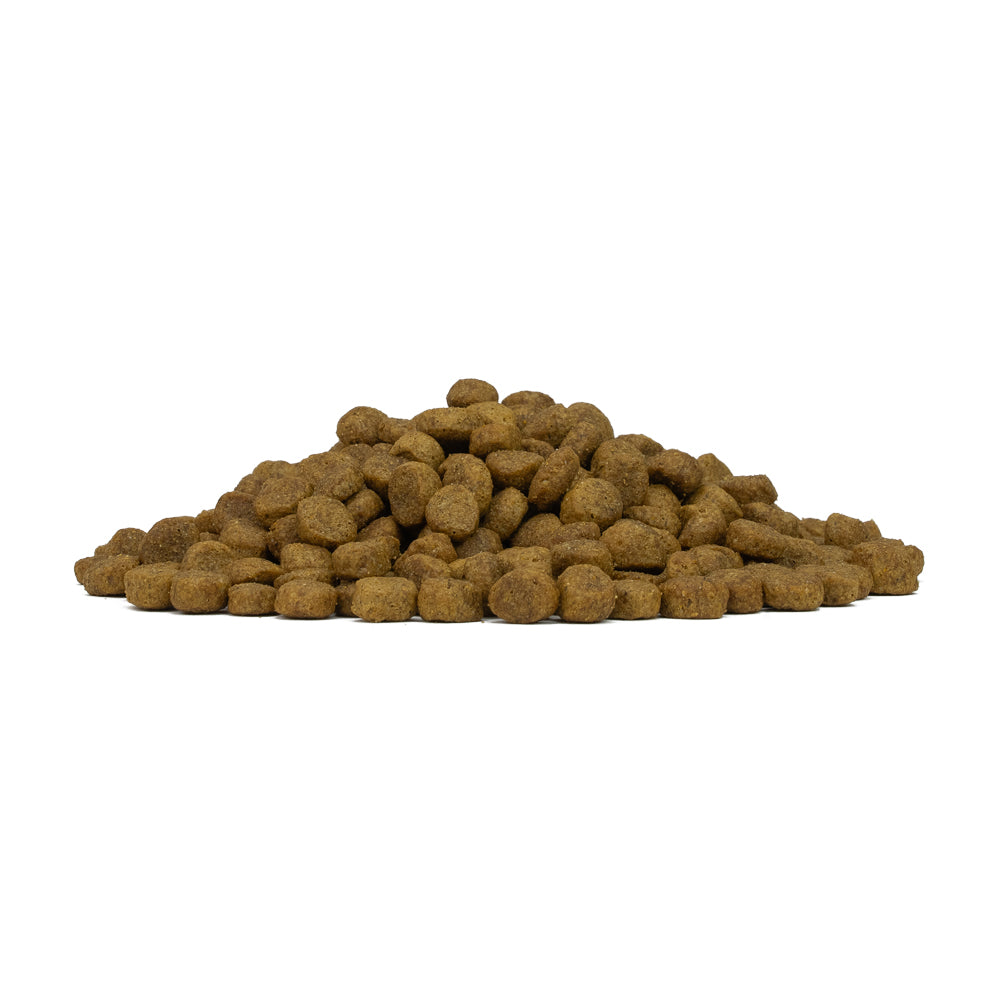 FORZA 10 DIET CERVO E PATATE ADULT MINI 1,5 KG