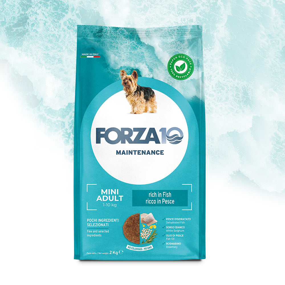 Mangime secco Forza 10 Pesce Adult Mini per cani piccoli, sacco da 2 kg con pesce disidratato