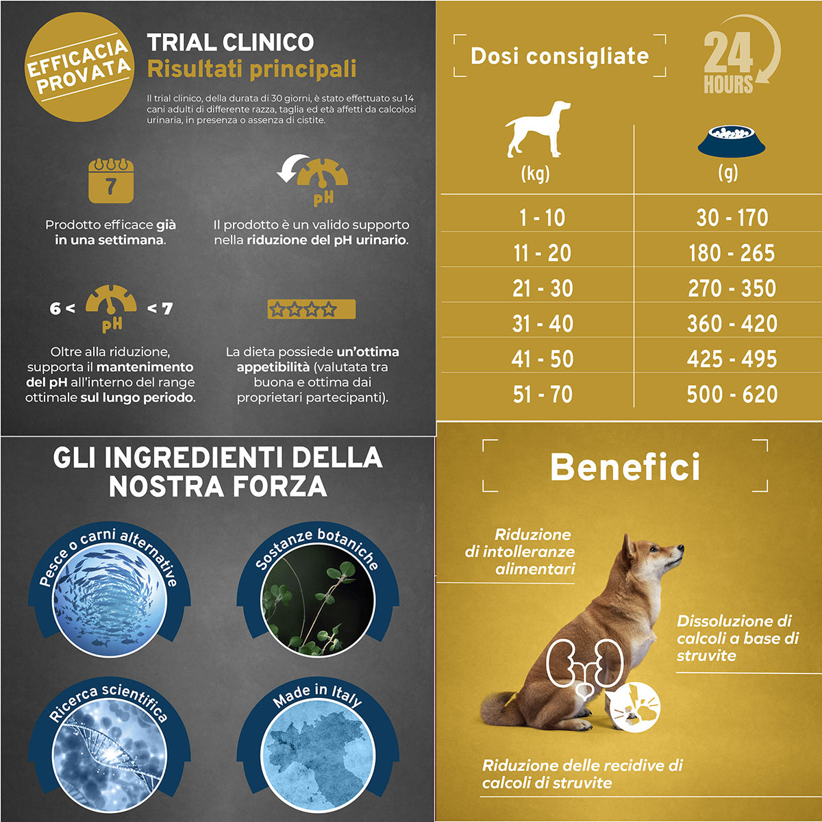 FORZA 10 ACTIVE URINARY PESCE ALLBREEDS 1,5 KG