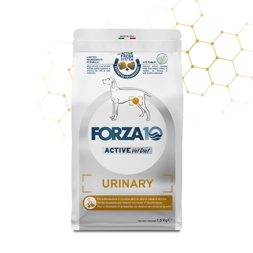 Mangime secco Active Urinary per cani adulti con pesce, 1,5 kg