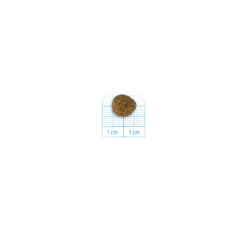 FORZA 10 DIET MAIALE E PATATE ADULT MINI 1,5 KG