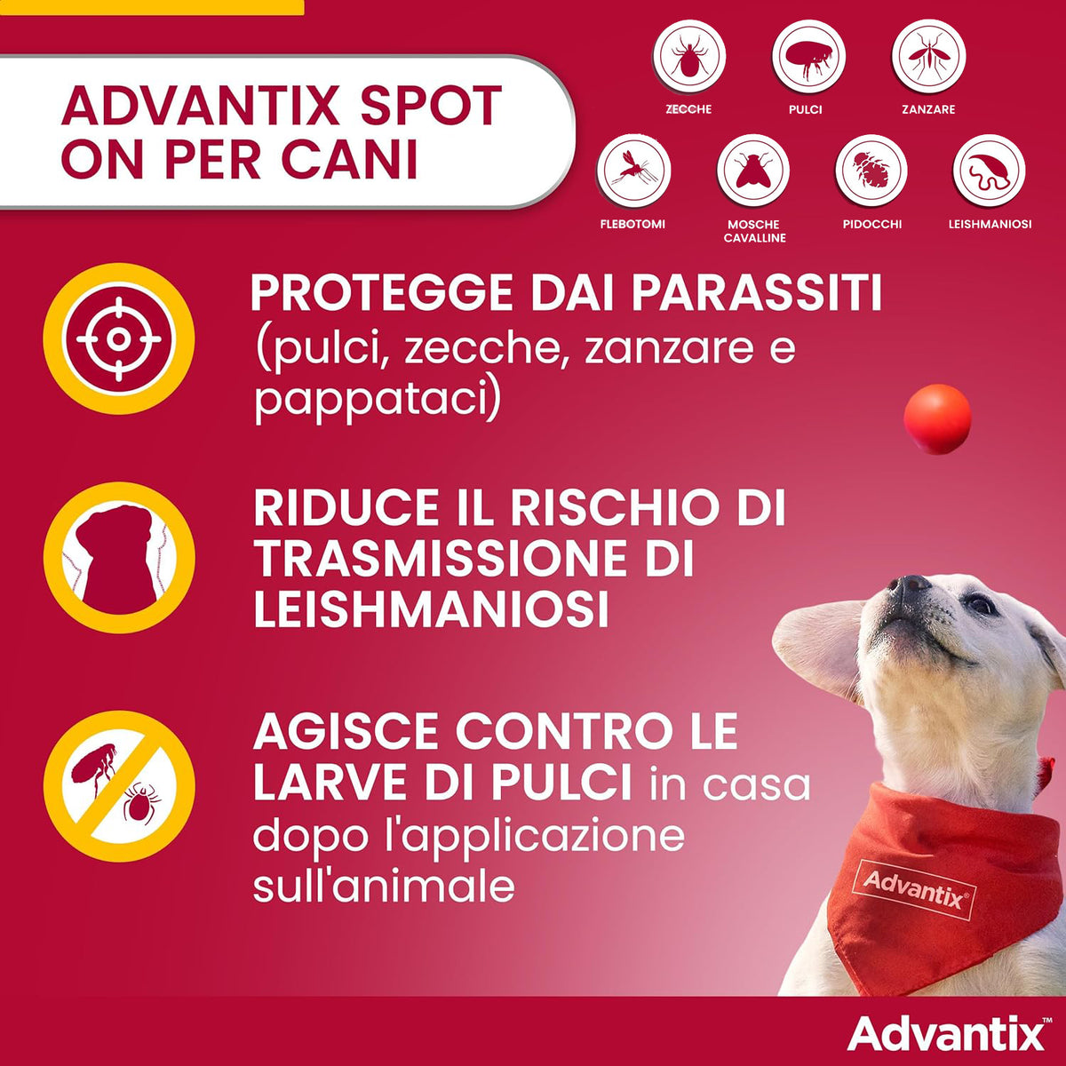 ADVANTIX SPOT-ON 10-25kg (4 x 2,5ml)