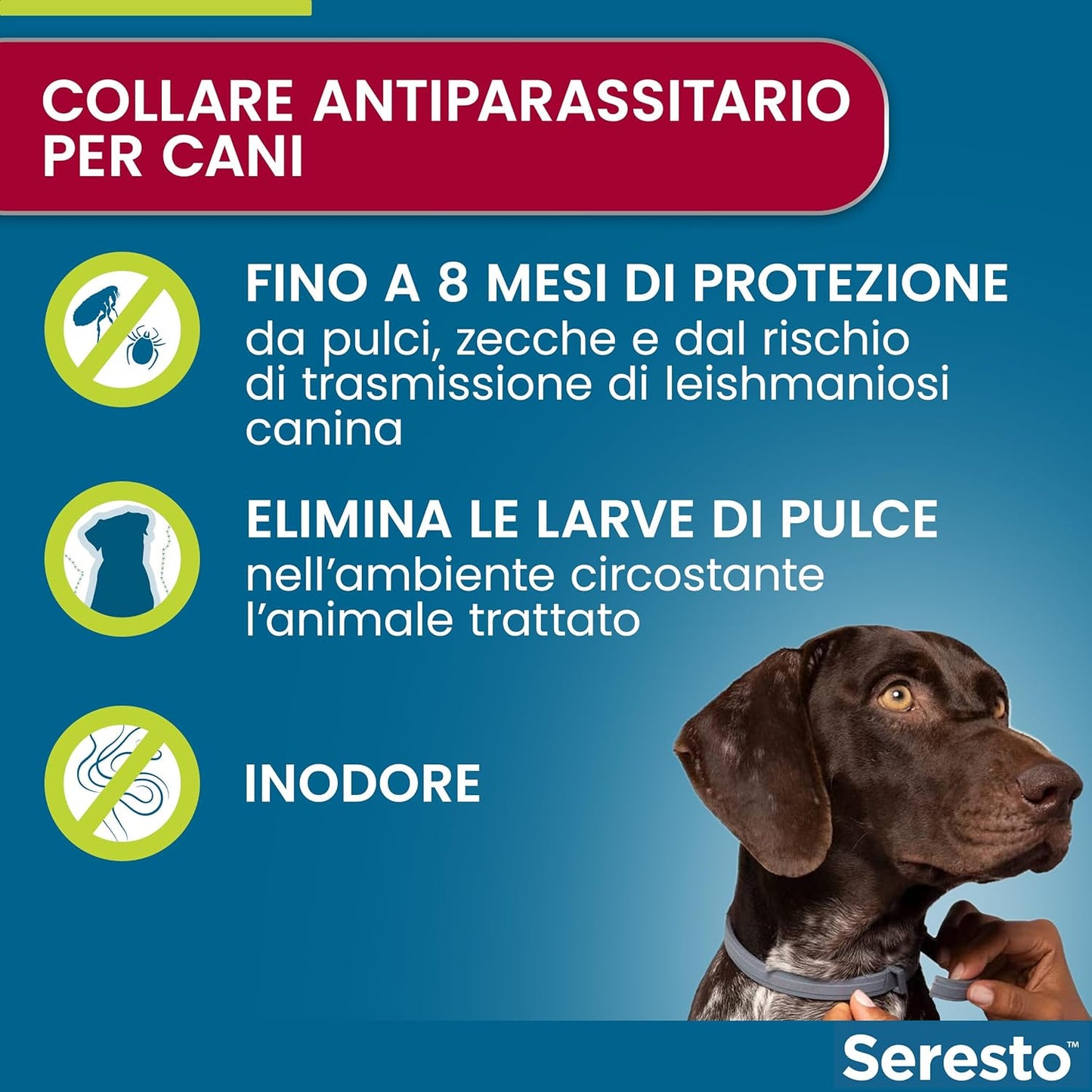 SERESTO COLLARE Cane fino 8kg