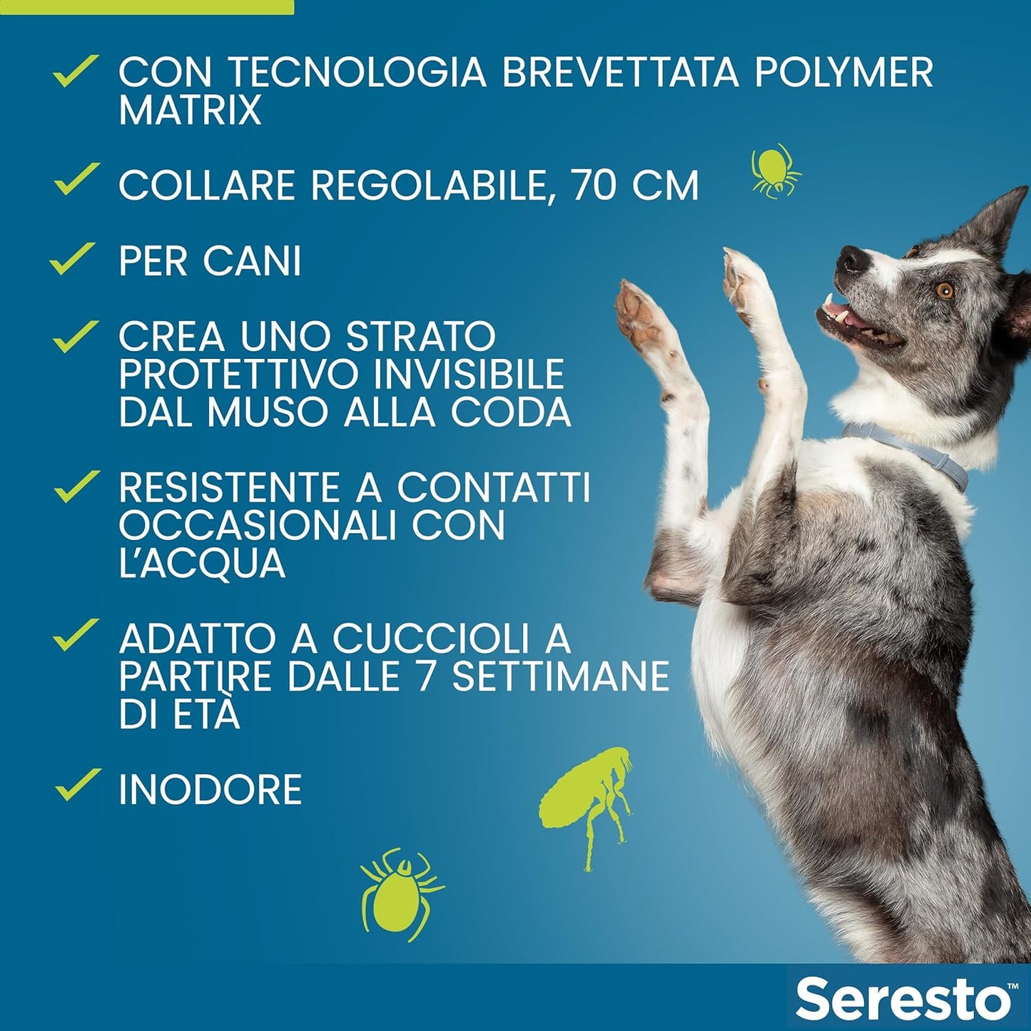 SERESTO COLLARE Cane oltre 8kg