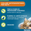 SERESTO COLLARE Gatto