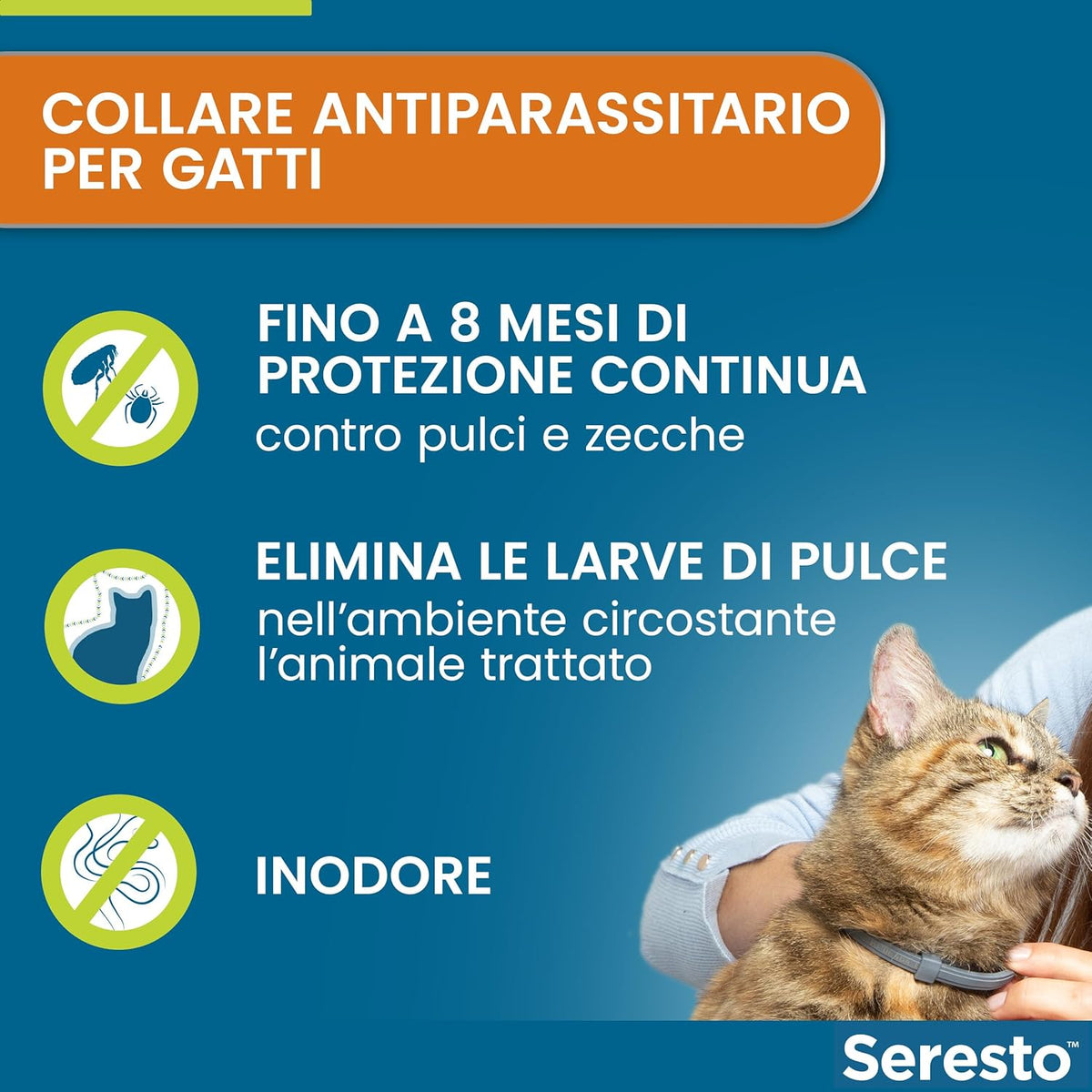 SERESTO COLLARE Gatto