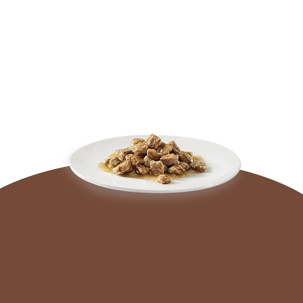 Oasy Wet Cat CAPRICE - Dadini con POLLO Lattina 85 gr