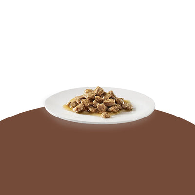 Oasy Wet Cat CAPRICE - Dadini con POLLO Lattina 85 gr