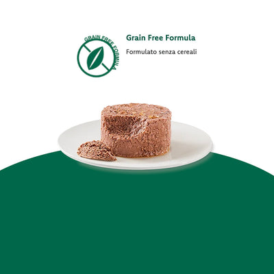 Oasy Wet Cat CAPRICE - Mousse per GATTINI con SALMONE Lattina 85 gr
