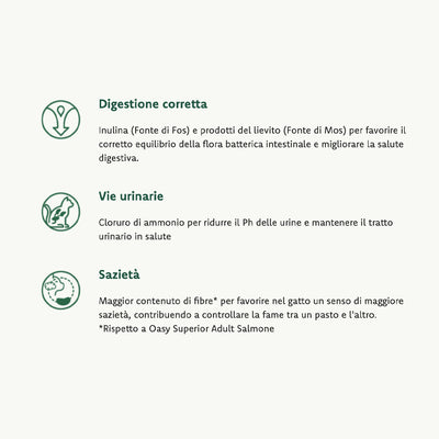 Oasy Dry Cat Superior - ADULT STERILIZED SALMONE