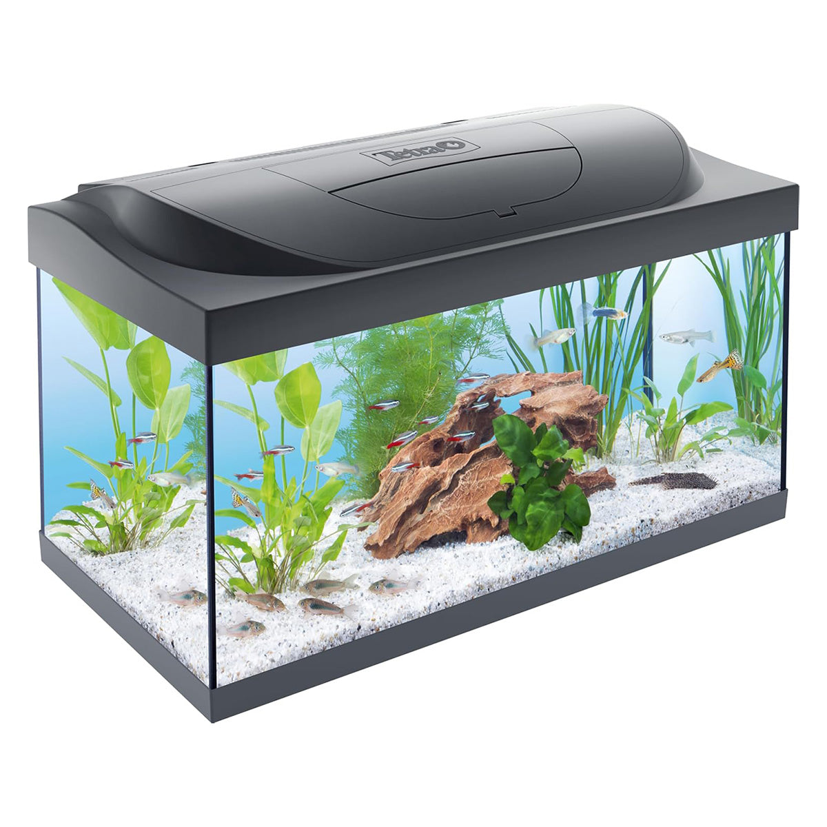 Plancia acquario Tetra Starter Line 54L ricambio originale coperchio