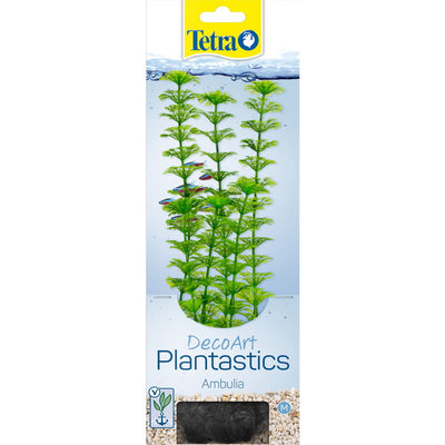 TETRA PIANTA DECORATIVA AMBULIA