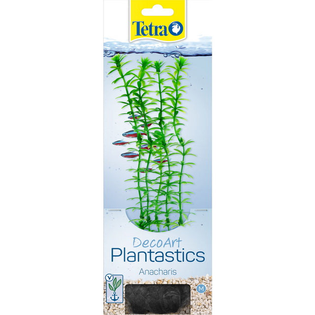 TETRA PIANTA DECORATIVA ANACHARIS