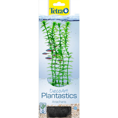 TETRA PIANTA DECORATIVA ANACHARIS