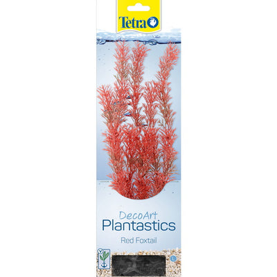 TETRA PIANTA DECORATIVA RED FOXTAIL